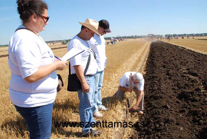 szenttamasi_barazda_2015_aug_1_kepek_6